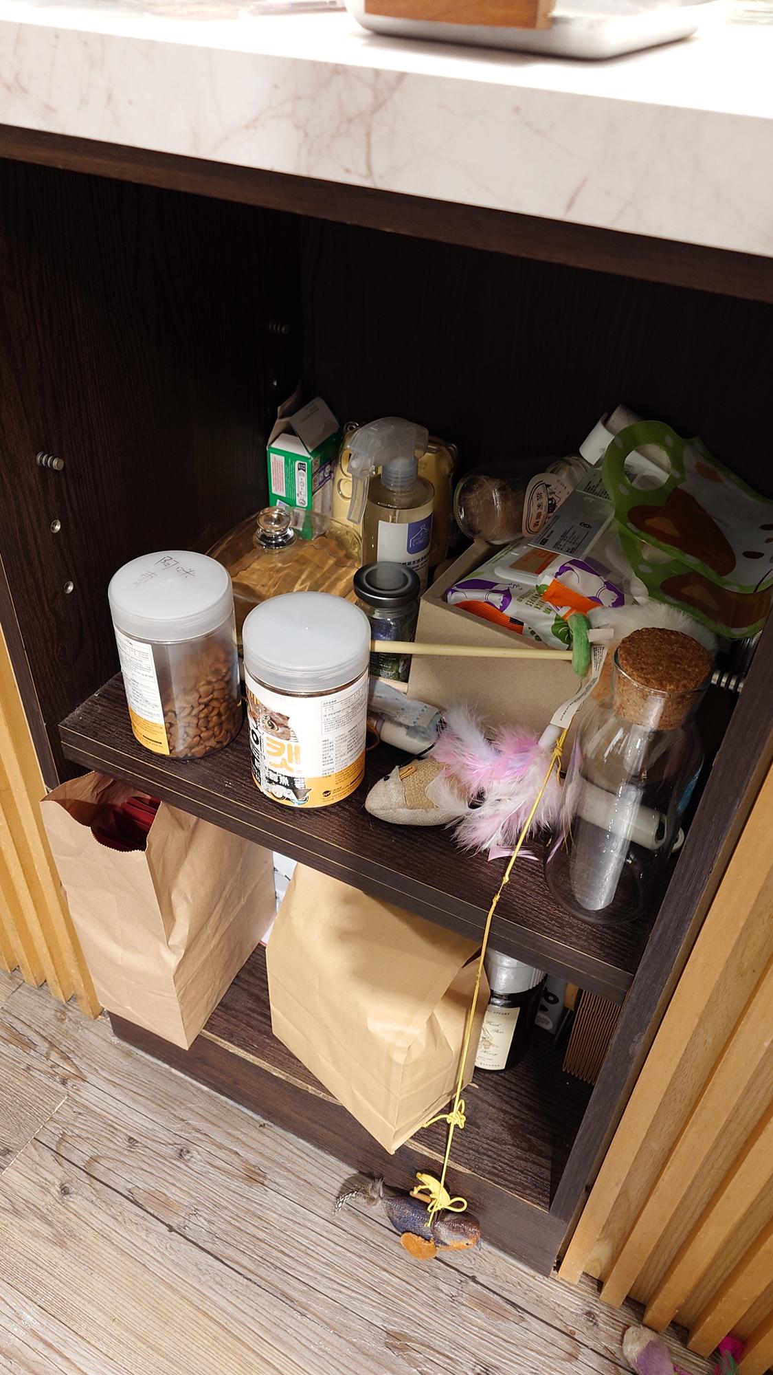 抵家咖啡貓咪專屬空間