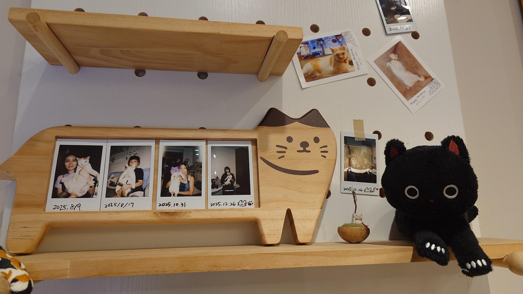 抵家咖啡店內貓咪回憶照片