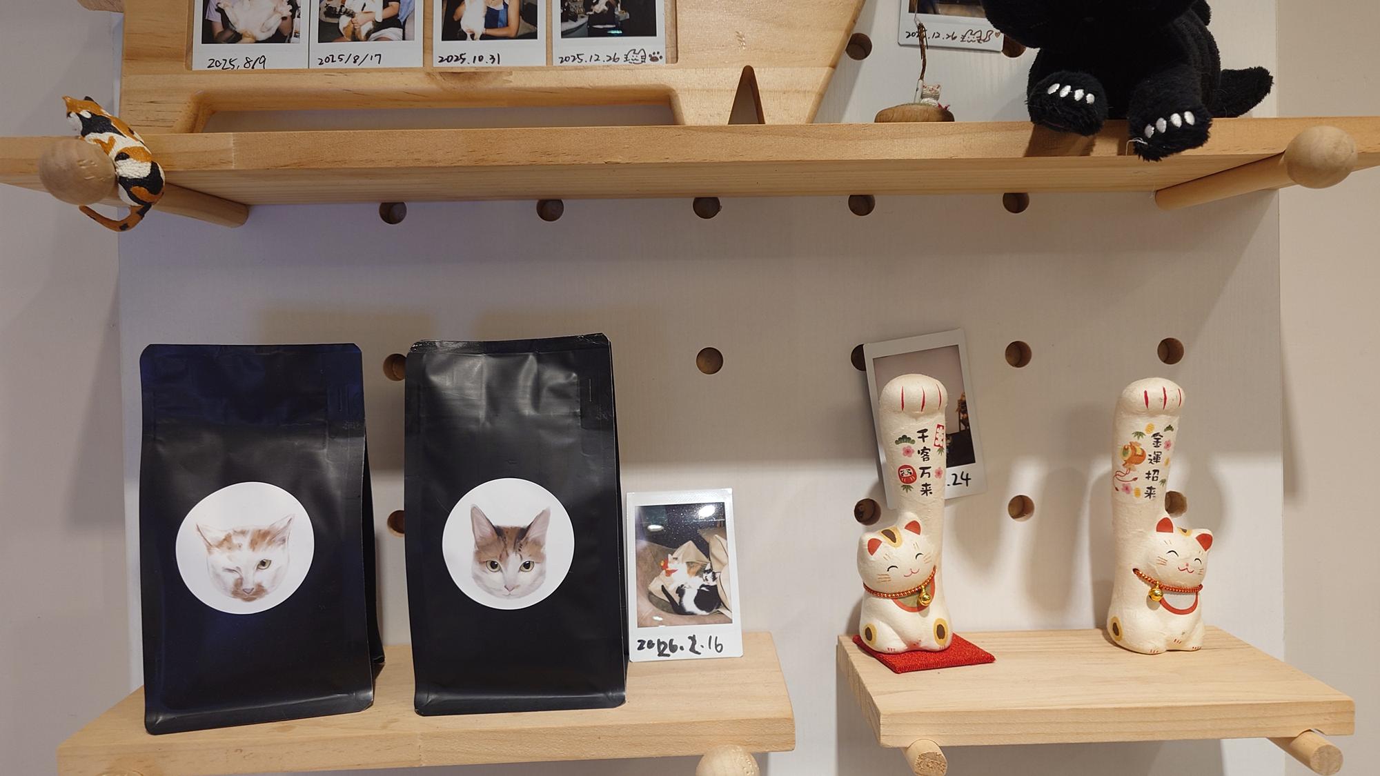 抵家咖啡貓咪相關展示