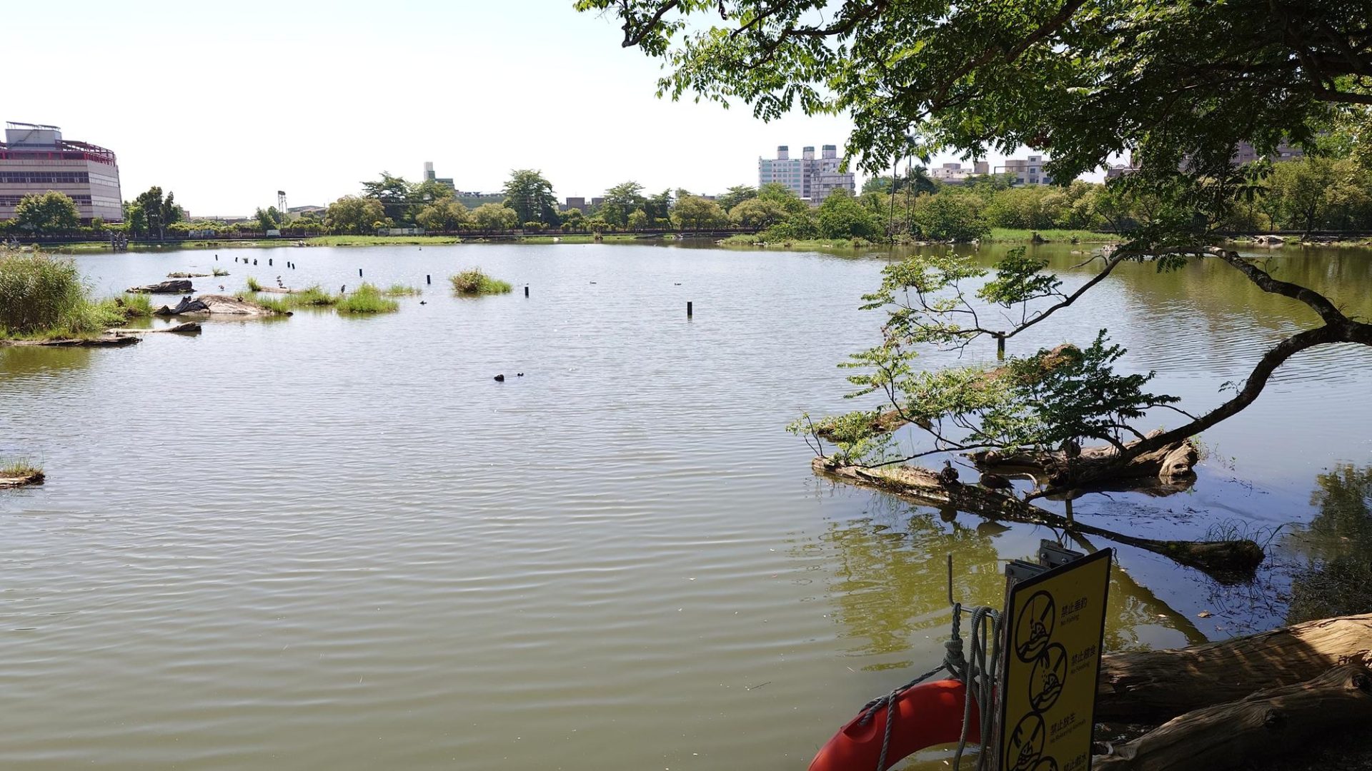 羅東林場貯木池不同角度
