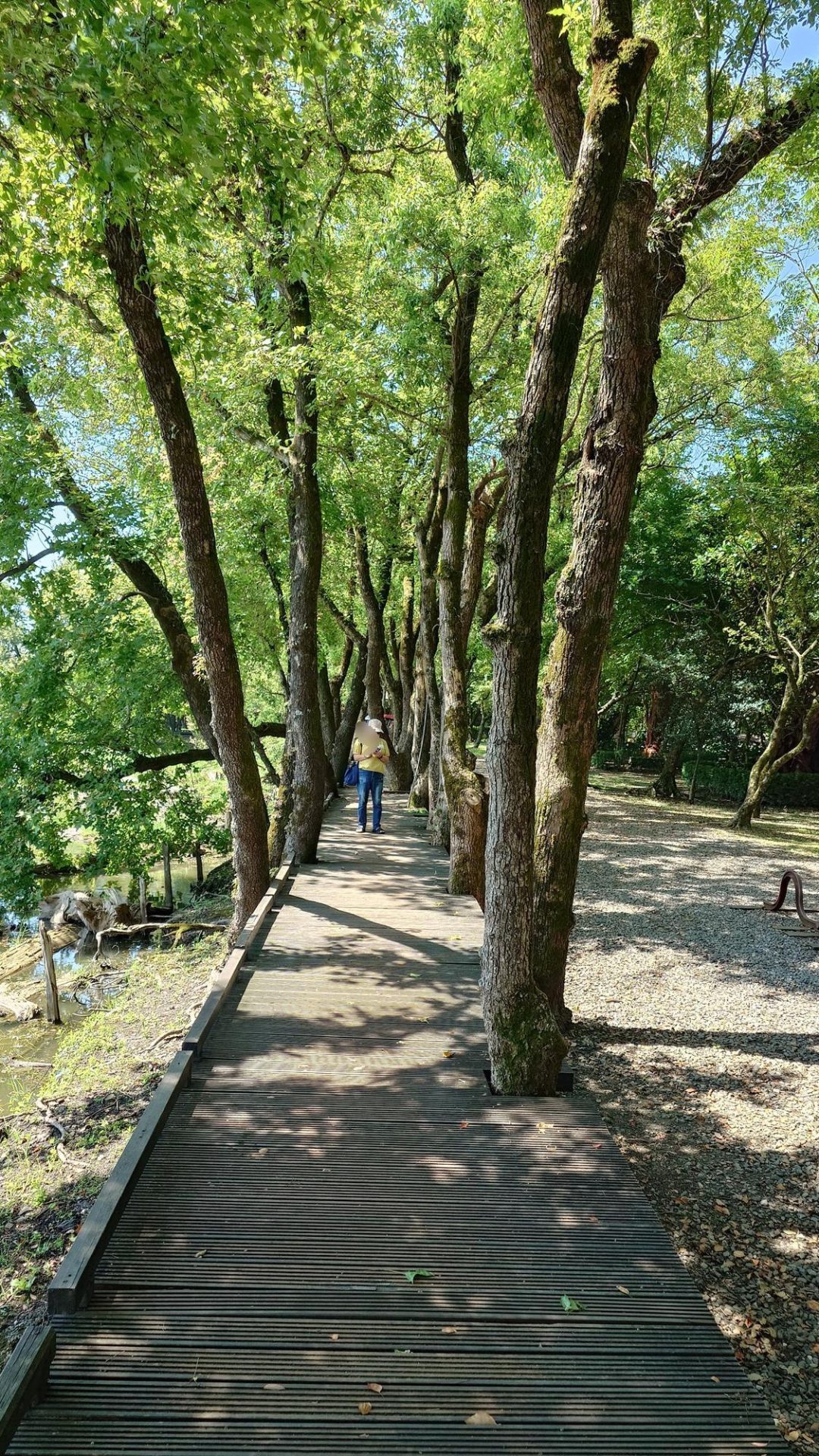 貯木池池邊步道