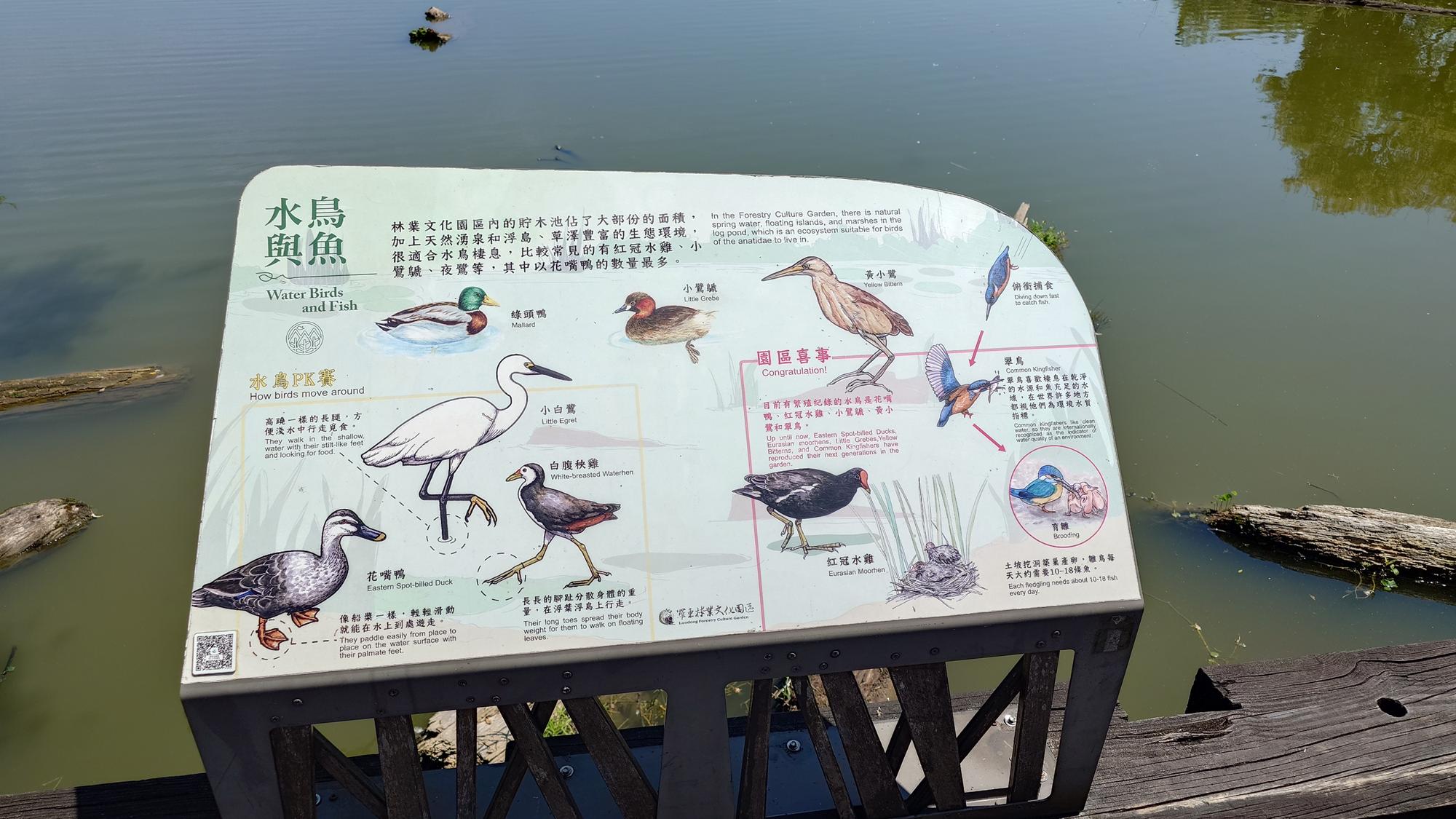 羅東林業文化園區水鳥介紹