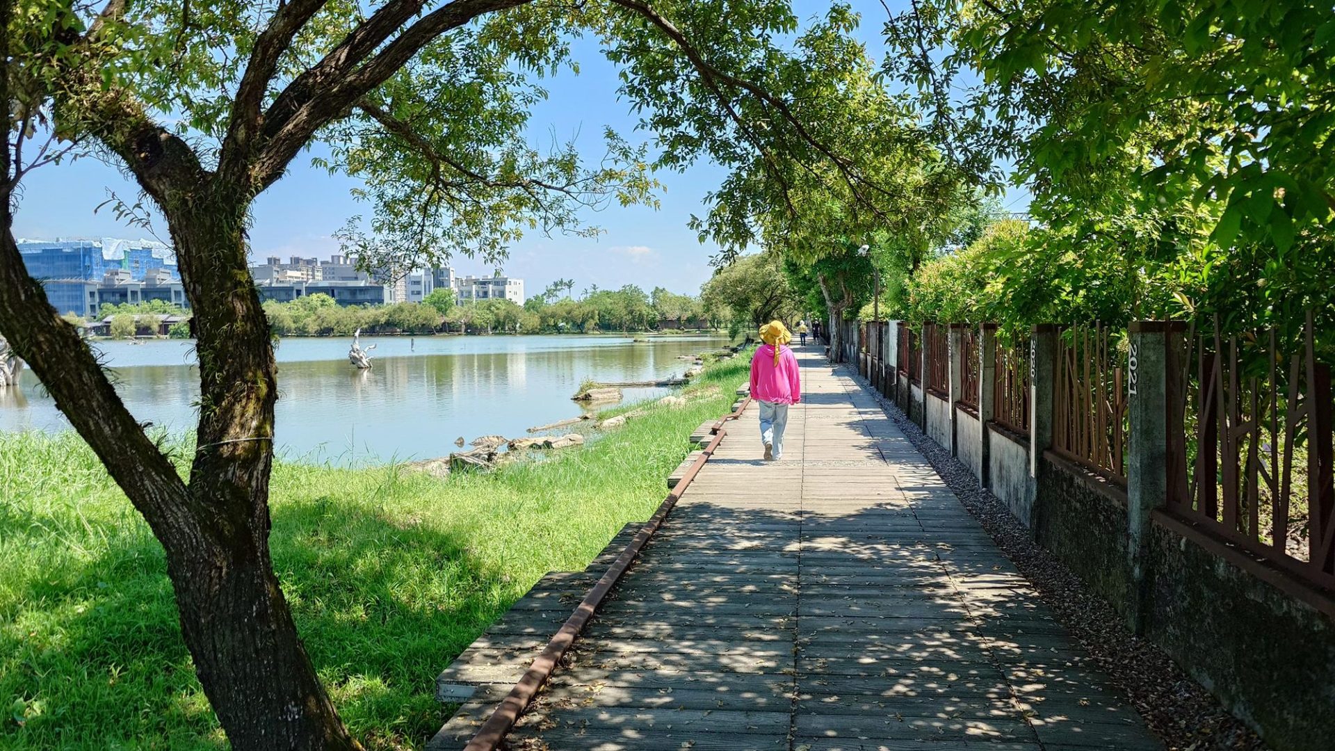 羅東林業文化園區平坦環池步道