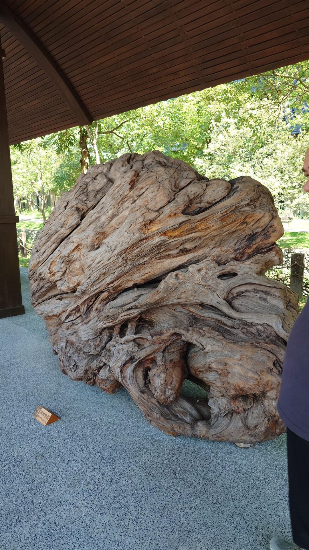 羅東林場木藝展覽